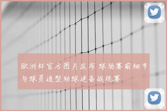 欧洲杯官方图片发布 球场赛前细节与球员造型助球迷备战观赛